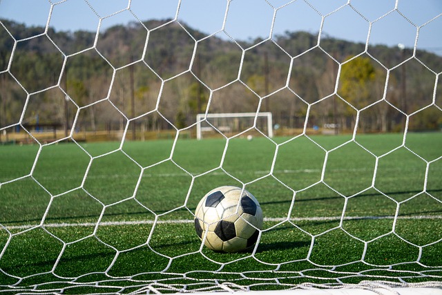 曼联的转会 曼联的转会