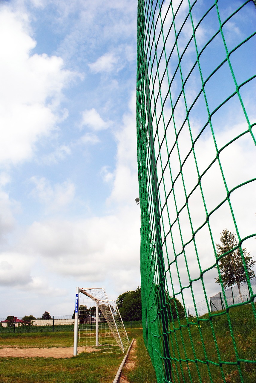 提升了冰雪 提升了冰雪