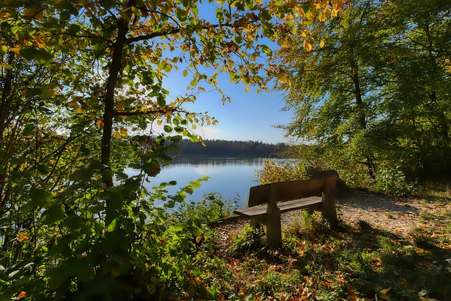 快船的这些 快船的这些