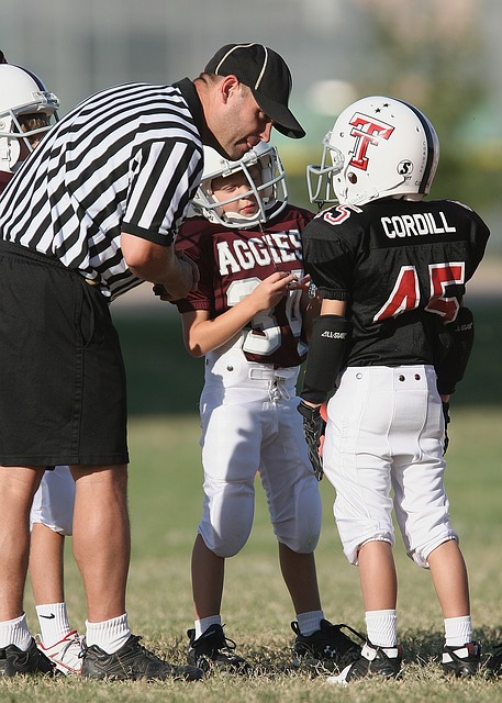 他采用了 他采用了